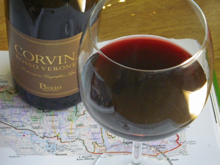 Corvina wine photo