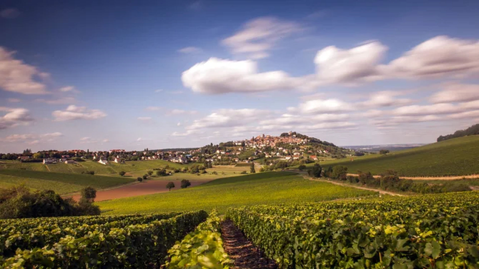 View over Sauvignon Blanc vineyards to the town of Sancerre | ©Gregory Guivarch / www.shutterstock.com