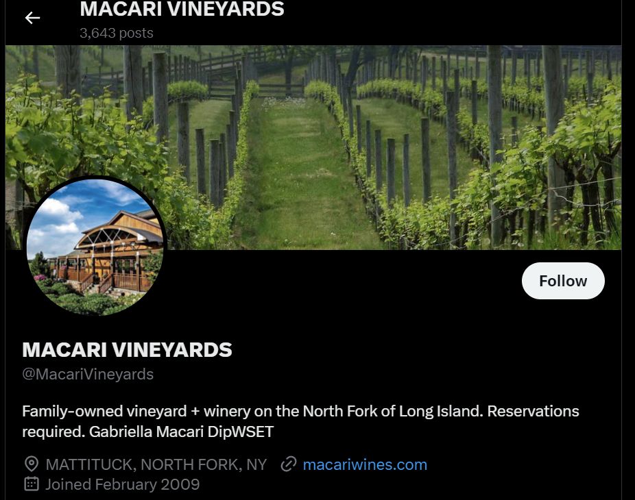 A scenic view of the lush Macari Vineyards, capturing the essence of winemaking excellence and natural beauty, perfectly embodying the spirit of 'Macari vineyards'