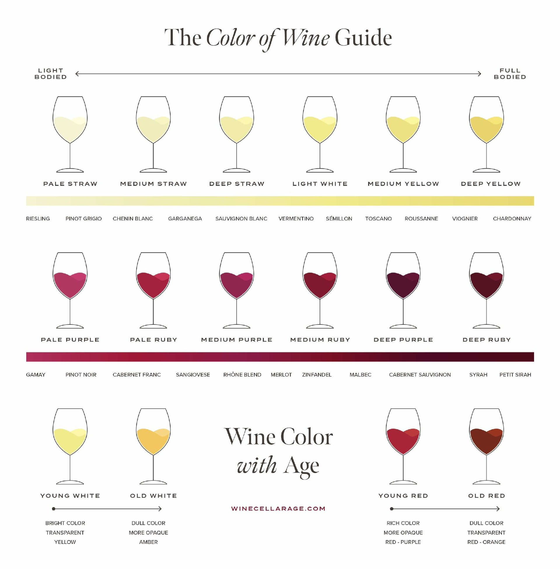 Red and white wine: Wine Color Guide Chart